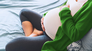 Bed Bugs During Pregnancy - Are They Dangerous?