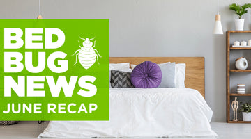 Bed Bugs in the News: June Recap